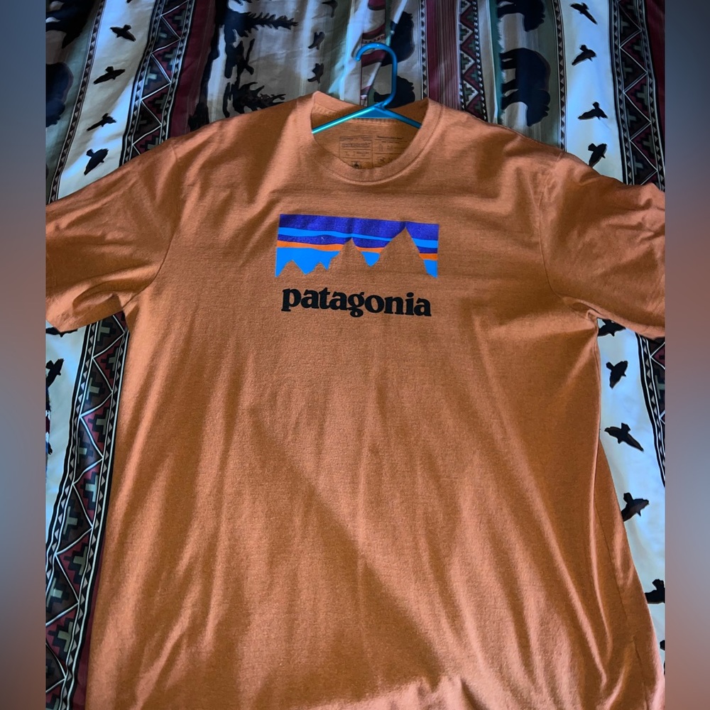 Patagonia Tshirt